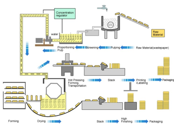 Pulp Molding Production Line