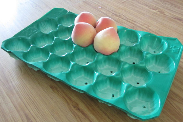 apple tray