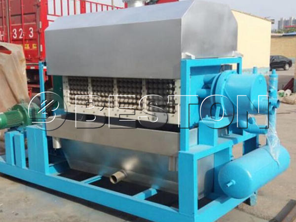 Egg Carton Machine Sale